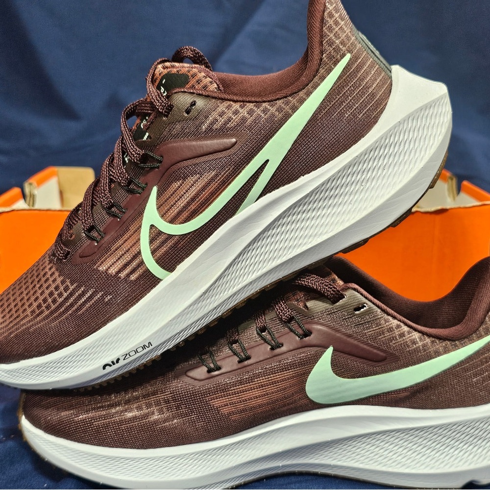 Womens Nike Air Zoom Pegasus 39 Canyon Rust/Mint Foam